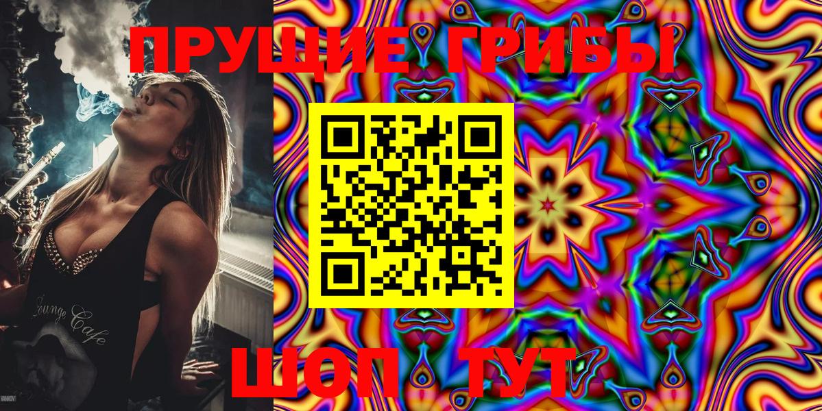 Галлюциногенные грибы Psilocybe  Вход с VPN  Шали 